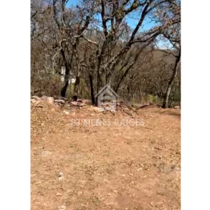 el-rincon-jilotepec-e3-bienes-raices