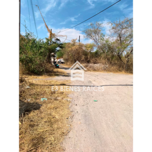 marca-de-agua-teques-e3-bienes-raices