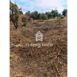marca-de-agua-teques-e3-bienes-raices1
