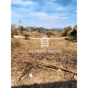 marca-de-agua-teques-e3-bienes-raices2