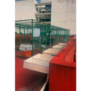 coyoacan-los-reyes-e3-bienes-raices-17