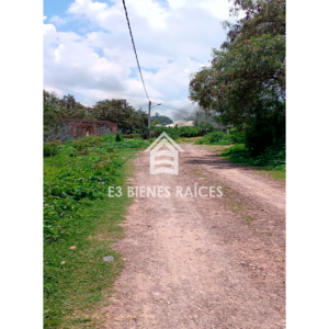 marca-de-agua-fotos-pagina-2