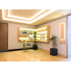 distum-e3-bienes-raices_0000_11